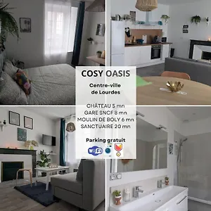 Appartement Cosy Oasis - T3 - Grande Terrasse Collective, Lourdes